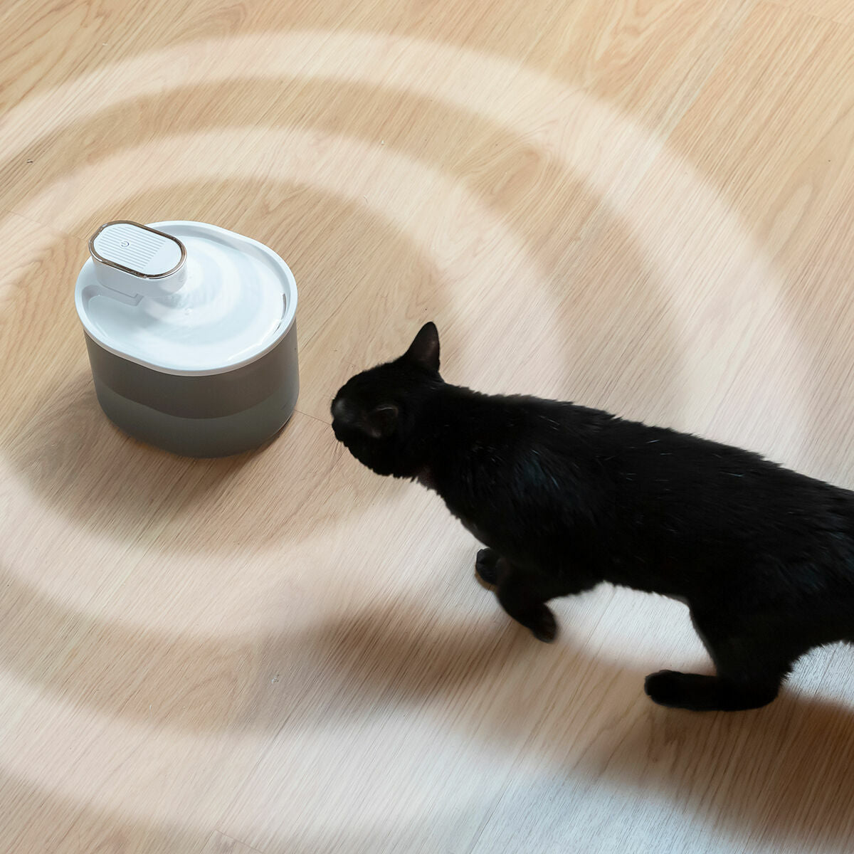 Accessori innovativi per la cura del tuo animale domestico: dalle lettiere automatiche ai dispenser di cibo intelligenti