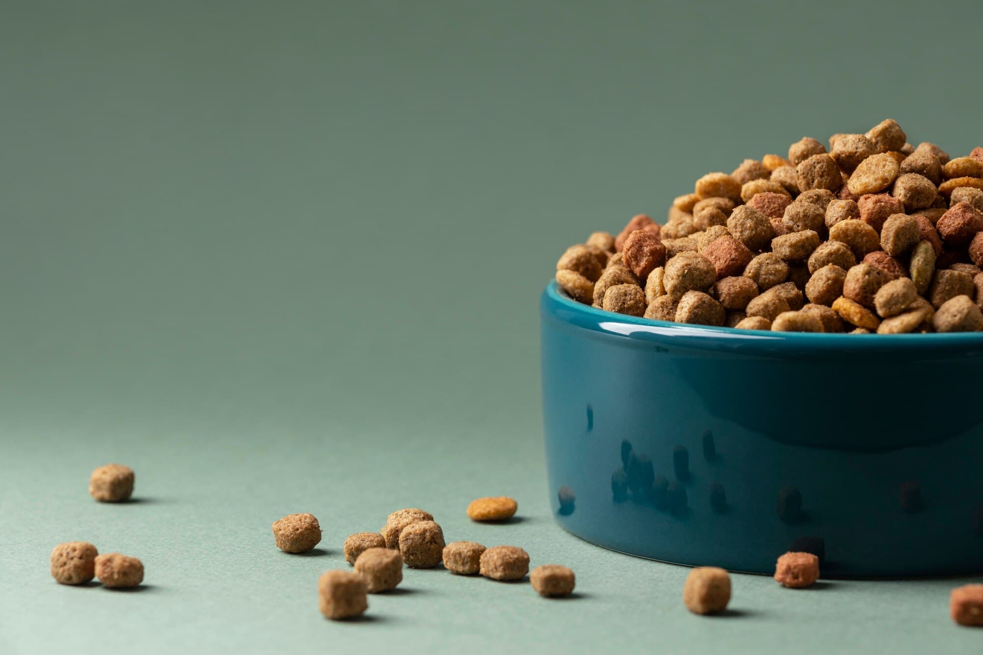 Alimenti e Contenitori