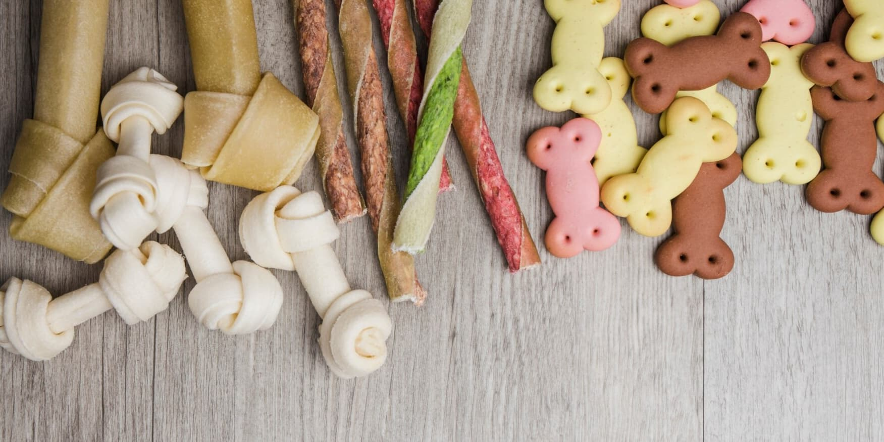 Premia il tuo cane con gusto, intelligenza e benessere! In questa collezione trovi snack naturali, premi funzionali e accessori per il cibo