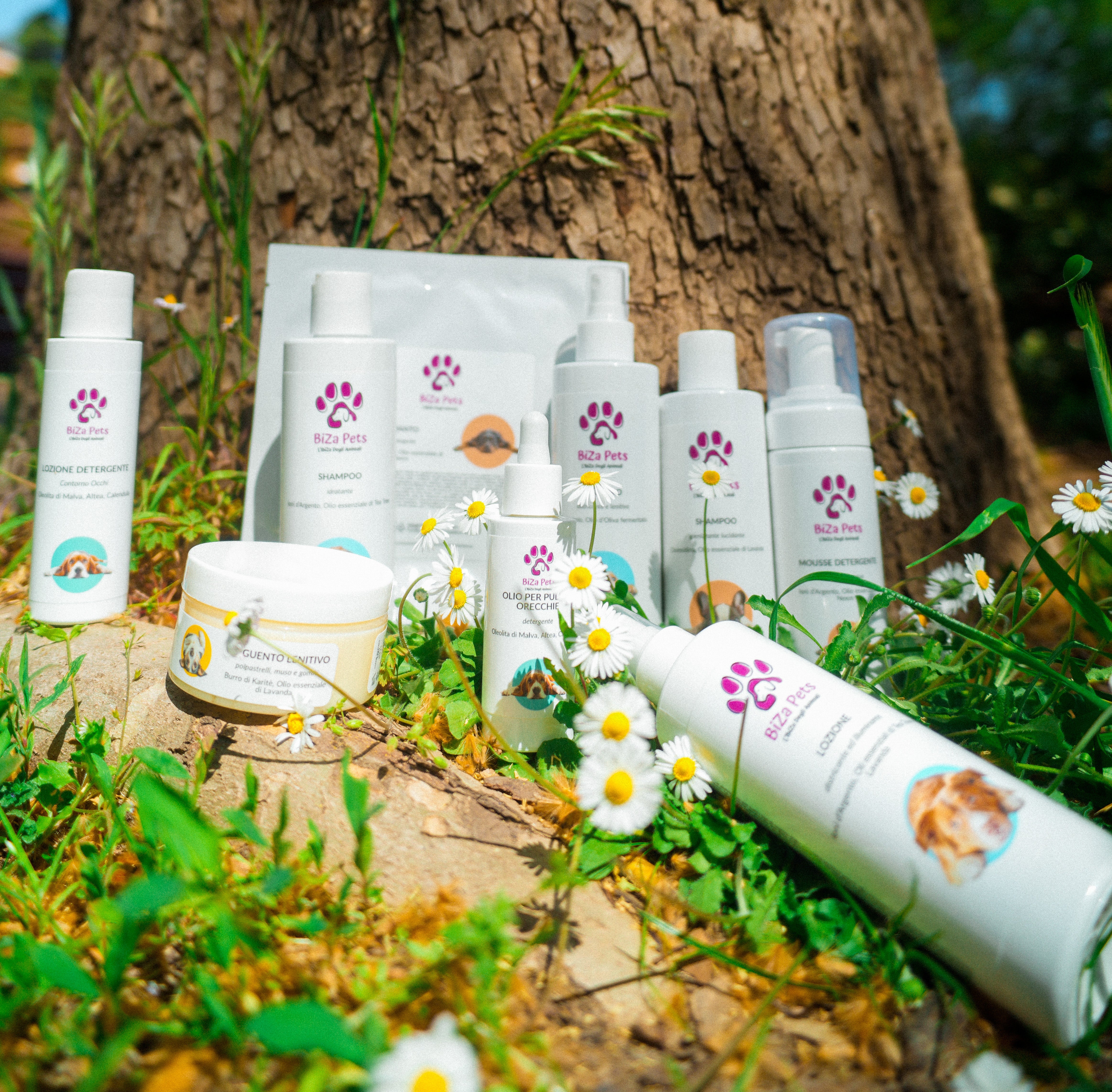 Pet Care per Cani – Benessere e Cura Quotidiana