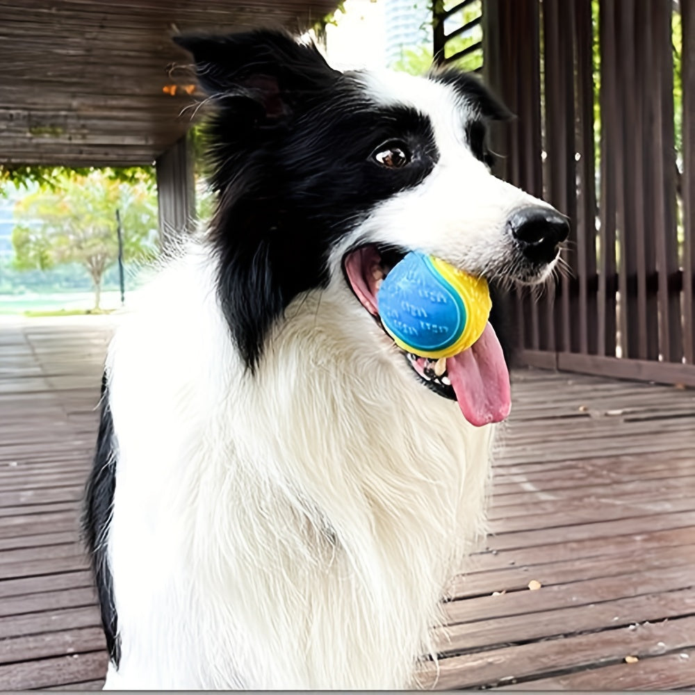 TPR Rubber Dog Dental Ball – Durable Play & Teeth Cleaning