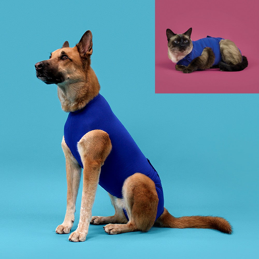 Recovery Vest for Pets KVP Blue 25-33 cm-1