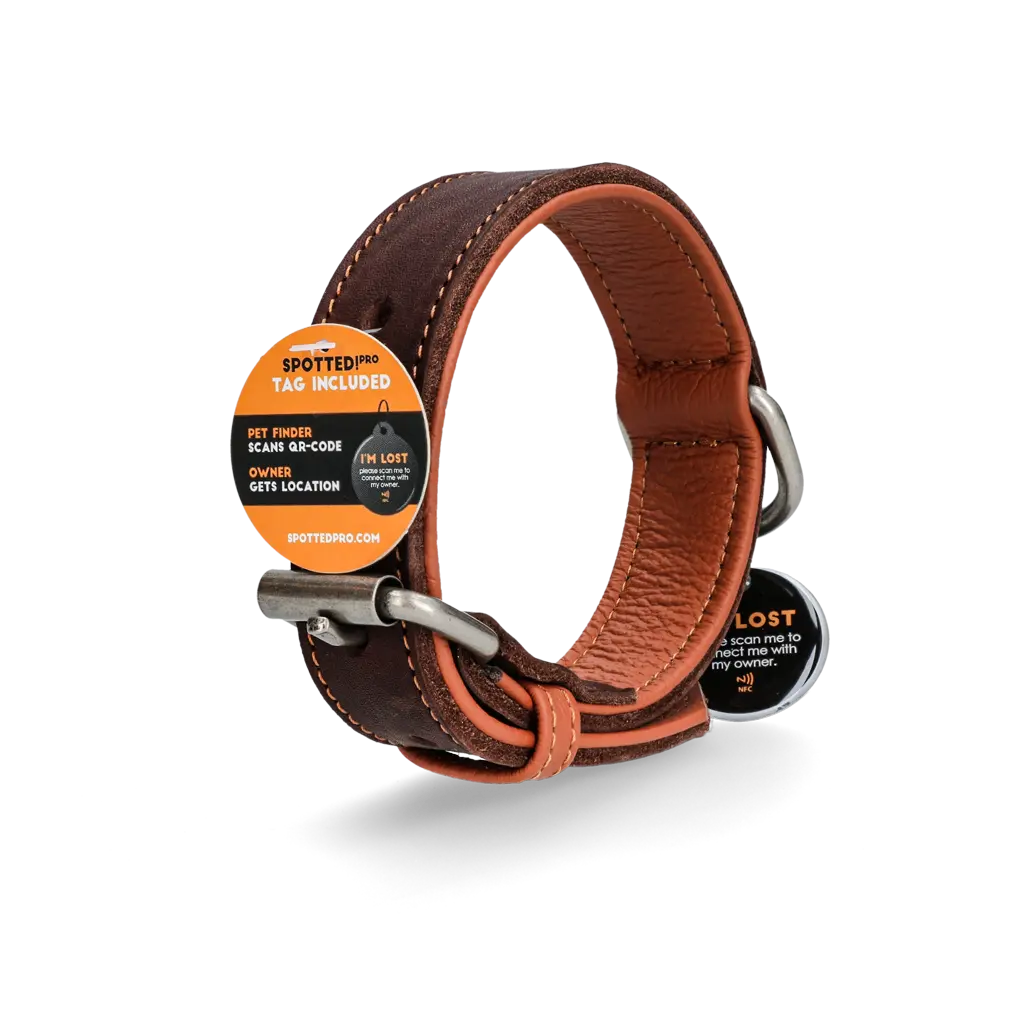 Collare in pelle marrone Spotted! Pro con tag digitale NFC/QR per cani.​