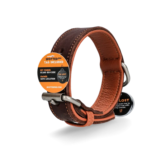 Collare in pelle marrone Spotted! Pro con tag digitale NFC/QR per cani.​