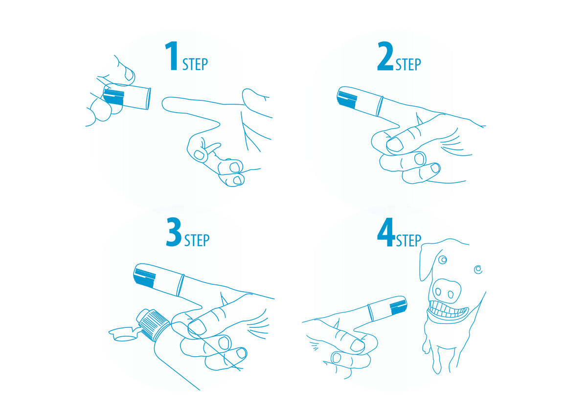 Finger Toothbrush for Dogs and Cats (Pack of 6)