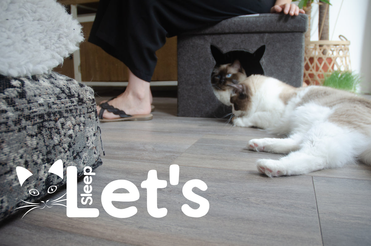 Let’s Sleep Pet Cube – Cuccia Eco-Friendly Pieghevole per Gatti e Cani Piccoli (44 x 43 cm)