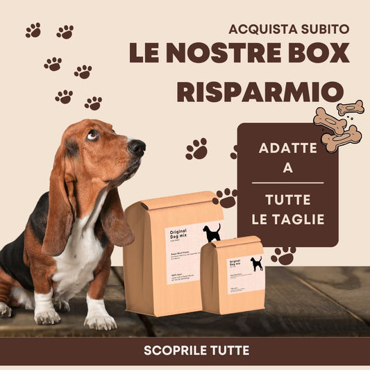 Fai scorta (1000 x 1000 px).jpg