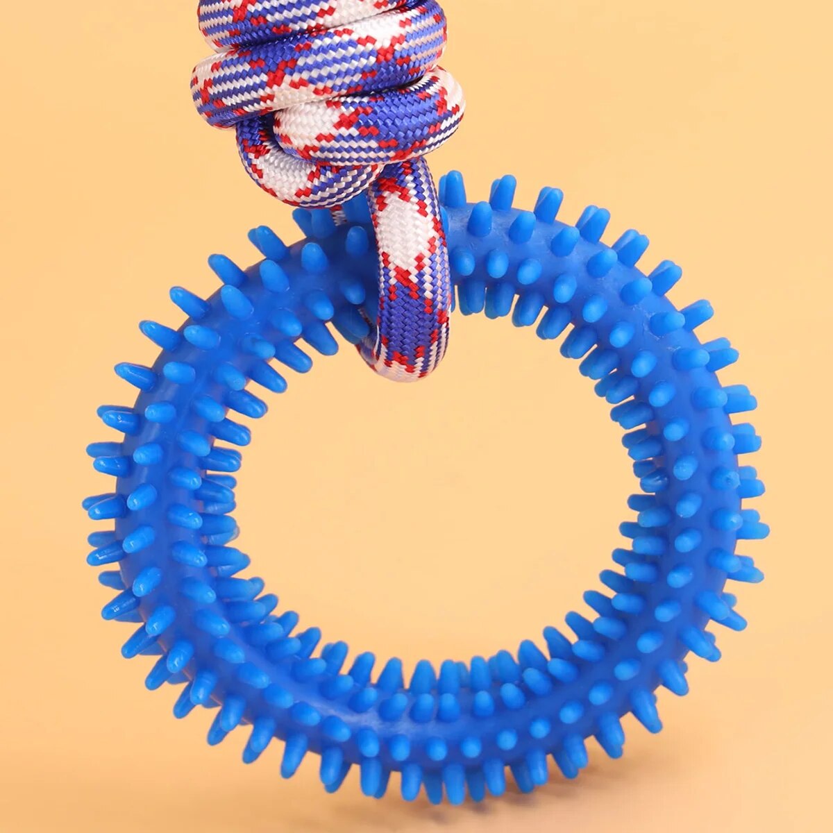 Interactive Dog Ring Toy – Spiky, Durable & Stimulating for Training & Chewing