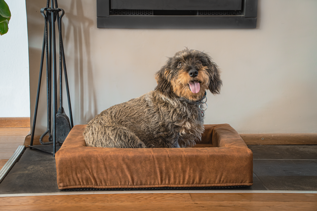 Let's Sleep Comfy Cushion – Cushion with Border for Dogs