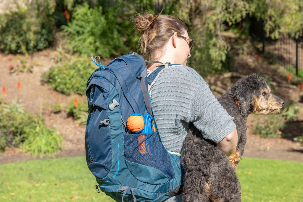 Chuckit! Fetch & Fold Mini – Lancia Palline Pieghevole per Cani (18M)