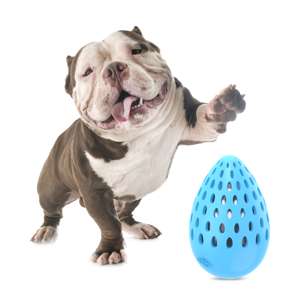 AFP Meta Ball – Holey Egg Indestructible