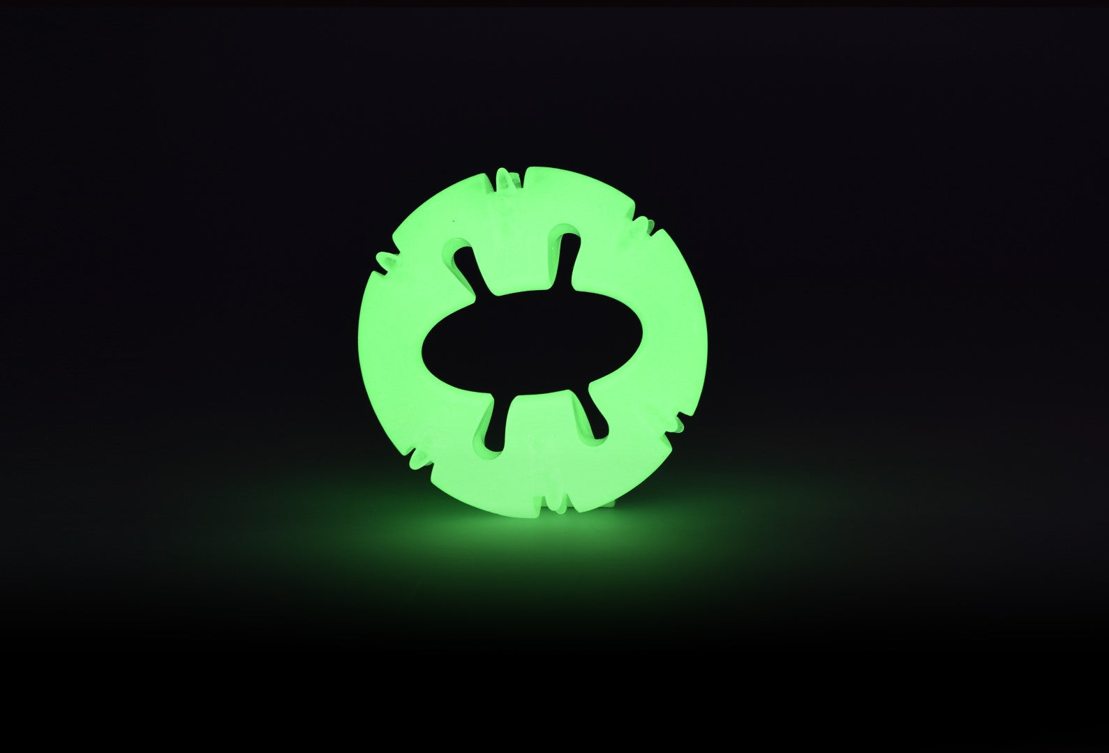 Glow Bite Right Tonight – Palla Porta-Premietti Luminescente per Cani (ø 10 x 3,2 cm)