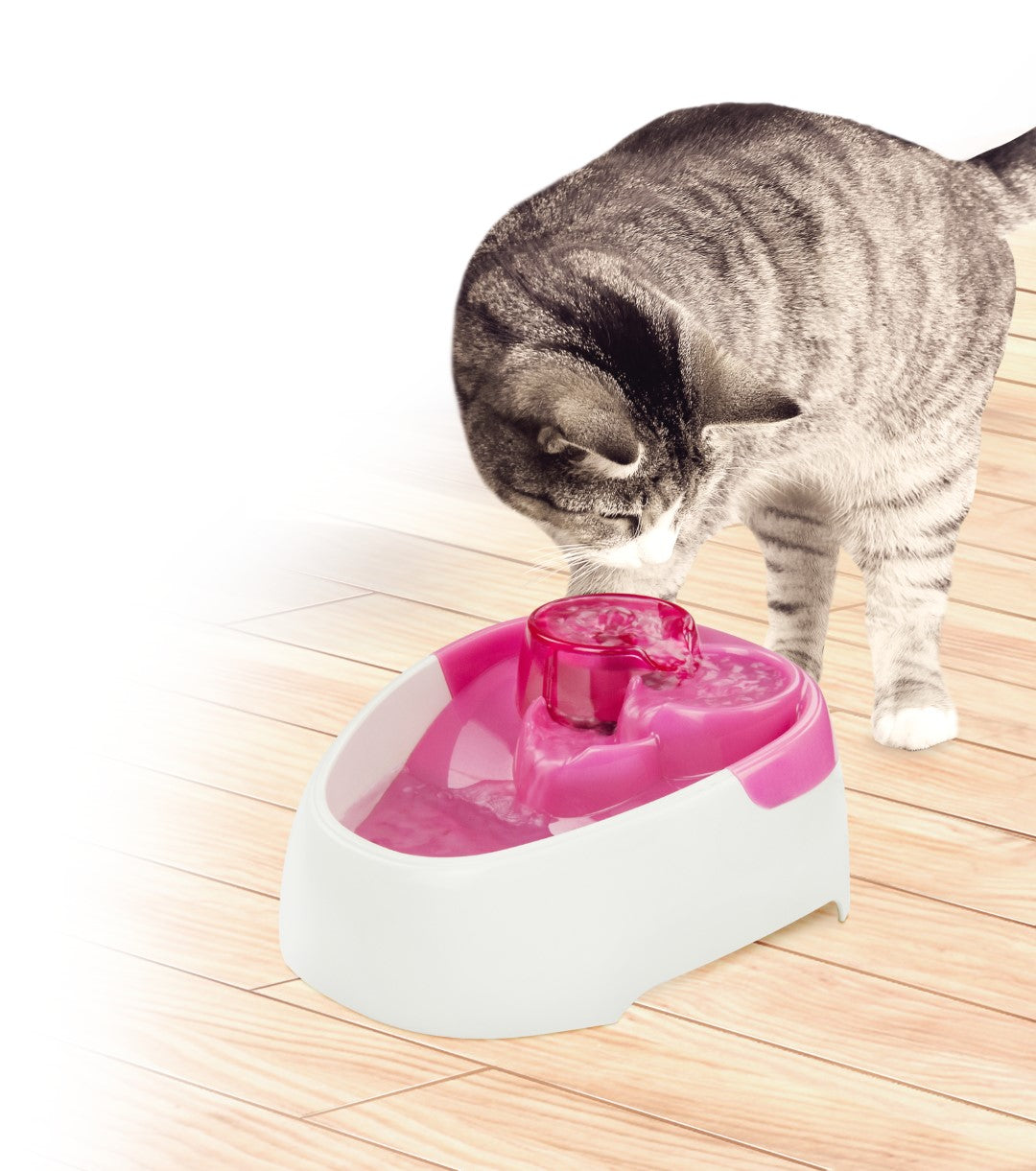 AFP – Filtro di Ricambio per Fontana per Gatti 1 L (Modello 2405)