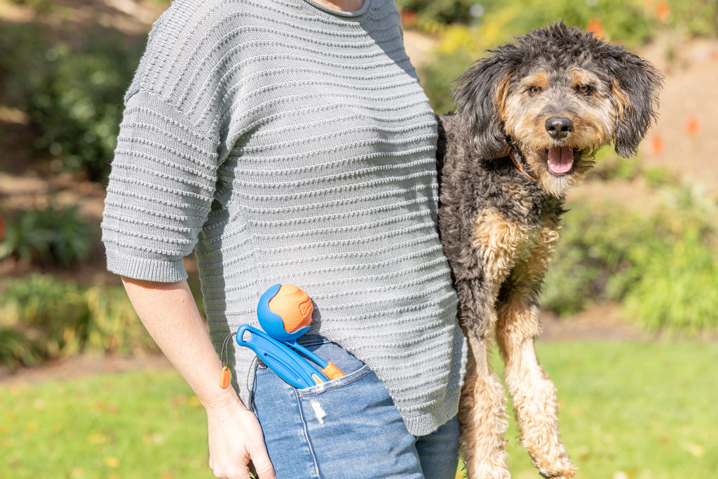 Chuckit! Fetch & Fold Mini – Lancia Palline Pieghevole per Cani (18M)