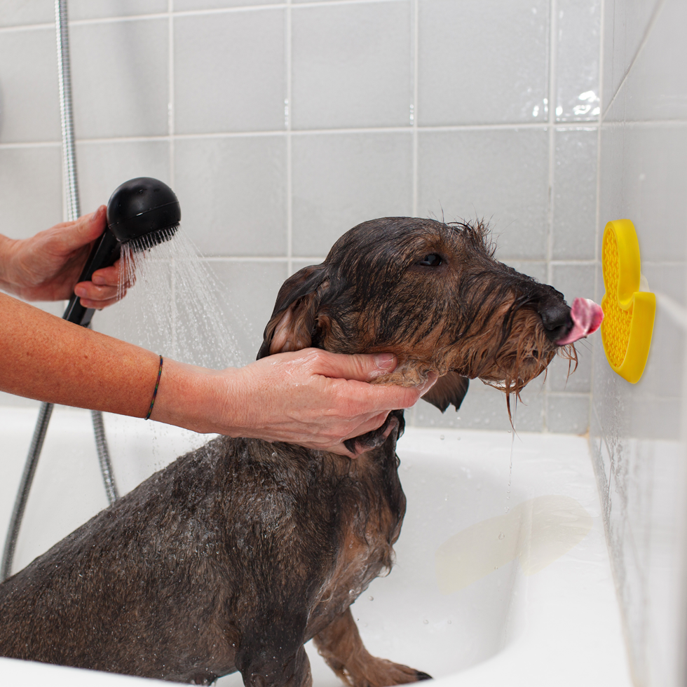 AFP Calm Paws Anti-Anxiety Duck – Suction Cup Bath Distractor for Dogs
