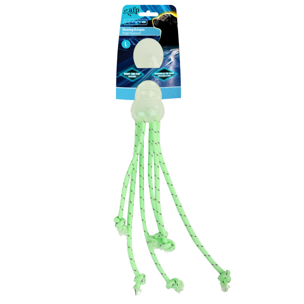 Glowing Jellyfish Light Up Dog Toy