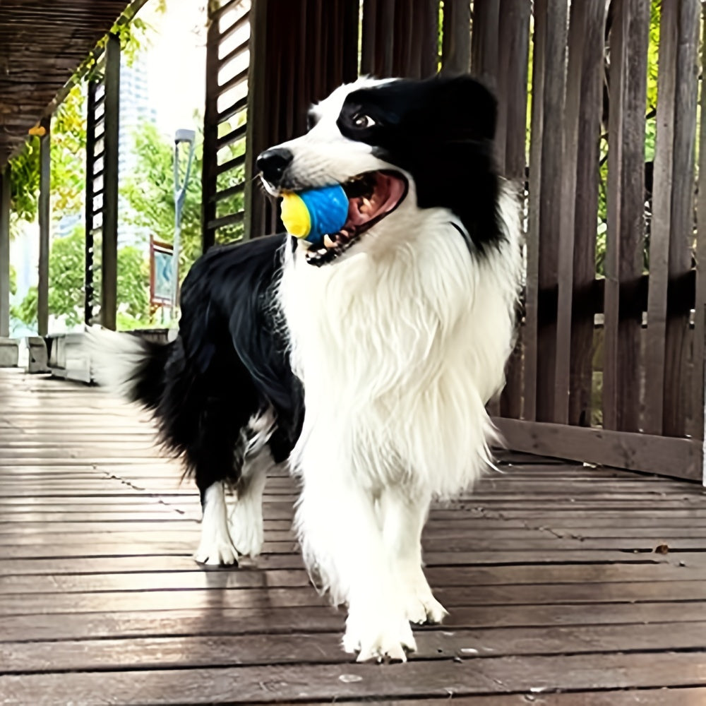 TPR Rubber Dog Dental Ball – Durable Play & Teeth Cleaning