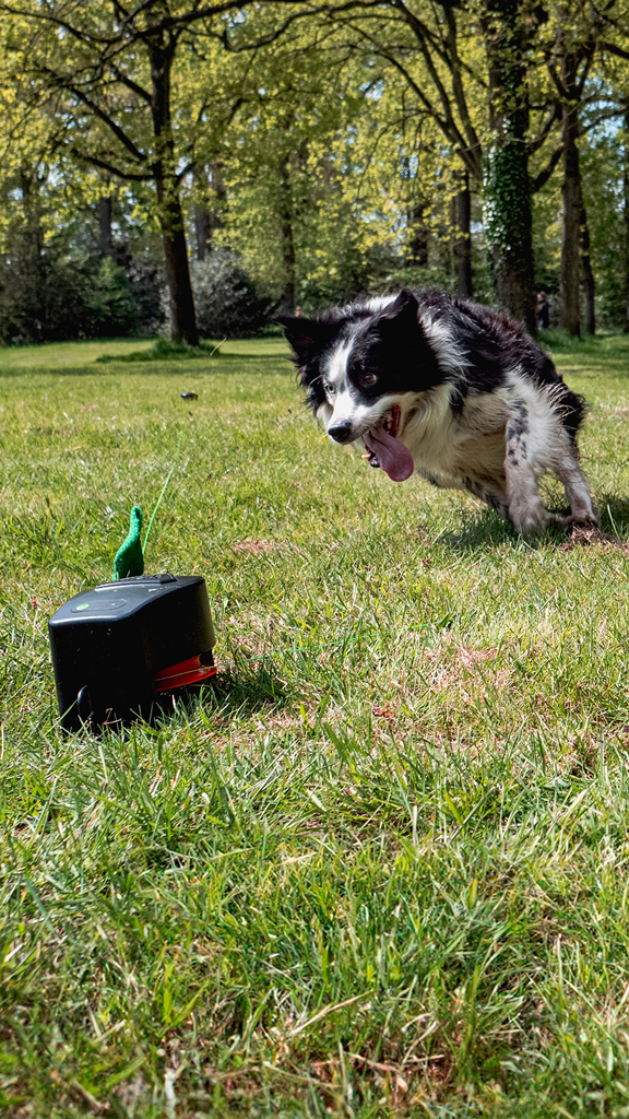 Dog Comets – Star Chaser Gioco da Corsa Interattivo con Telecomando per Cani