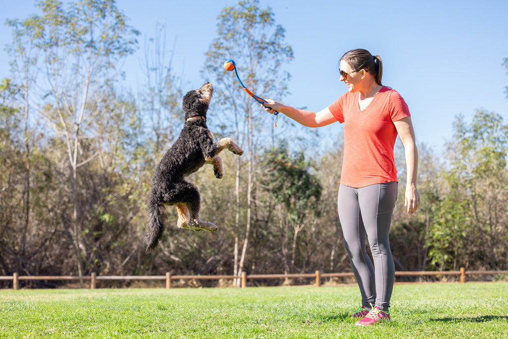 Chuckit! Fetch & Fold Mini – Lancia Palline Pieghevole per Cani (18M)