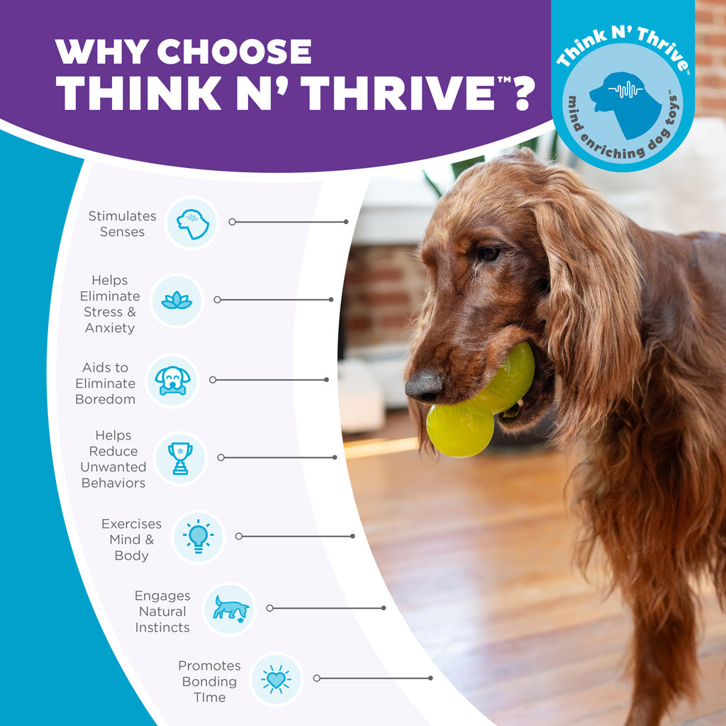 Double-Tuff TNT – Interactive Fillable Dog Toy (Size M or L)