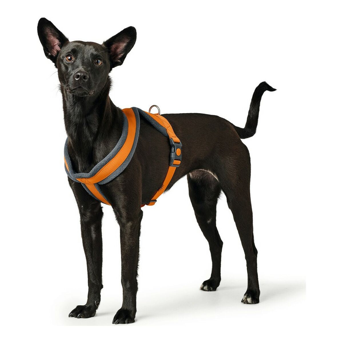 Dog Harness Hunter London Comfort Orange S/M 52-62 cm-1