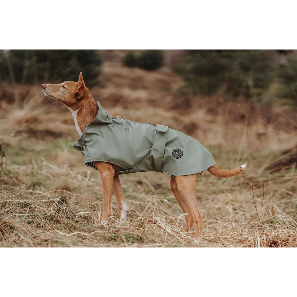 Dog Coat Hunter Milford Green 25 cm-4