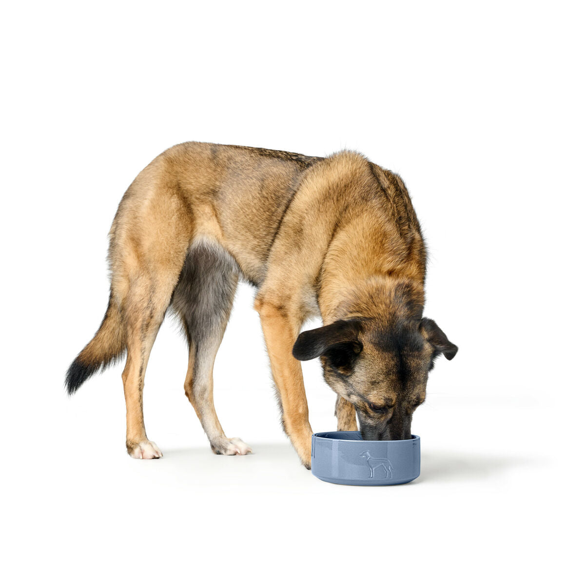 Ciotola per Cani Hunter OSBY Blu 1,1L – Ceramica Elegante e Antiscivolo-3