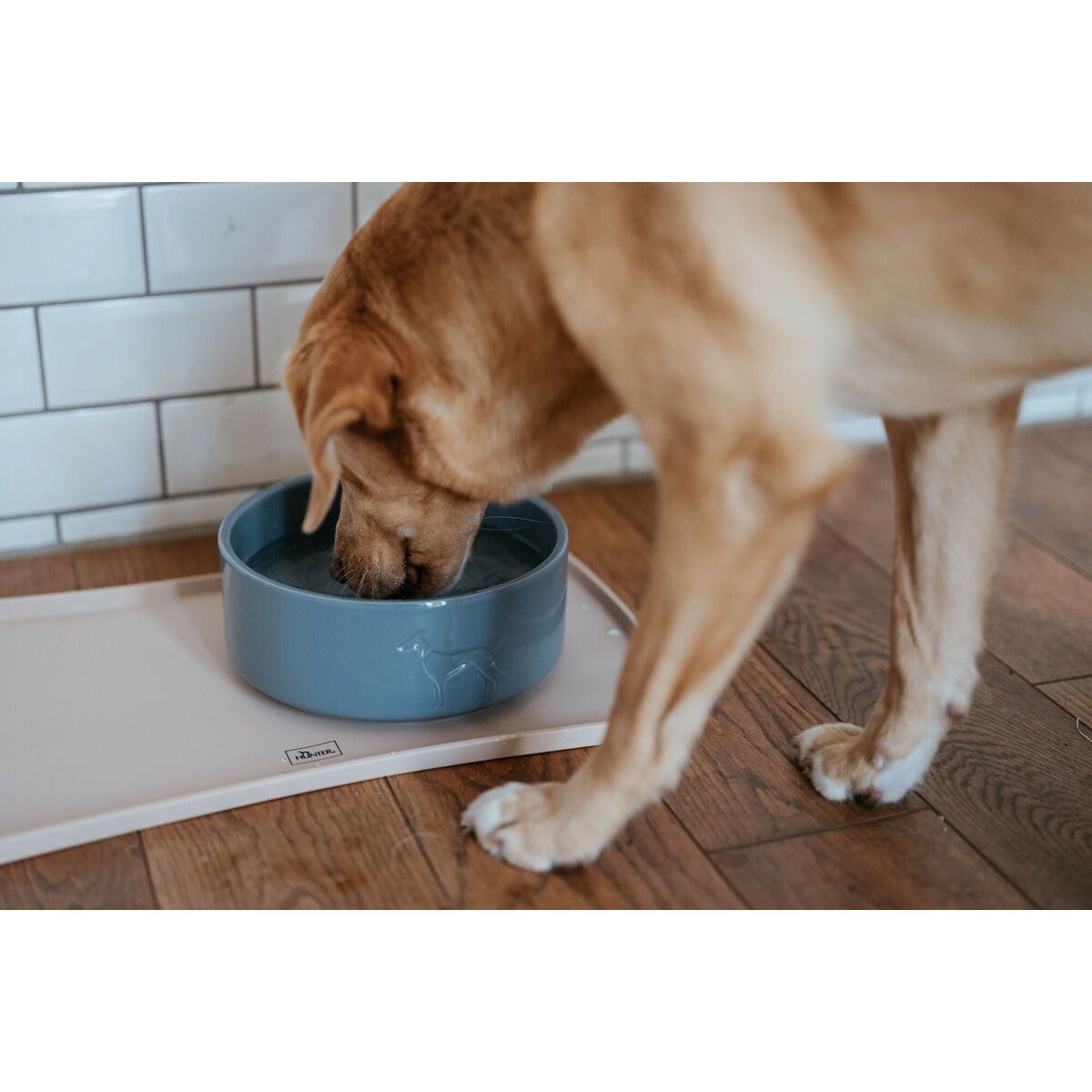Ciotola per Cani Hunter OSBY Blu 1,1L – Ceramica Elegante e Antiscivolo-1