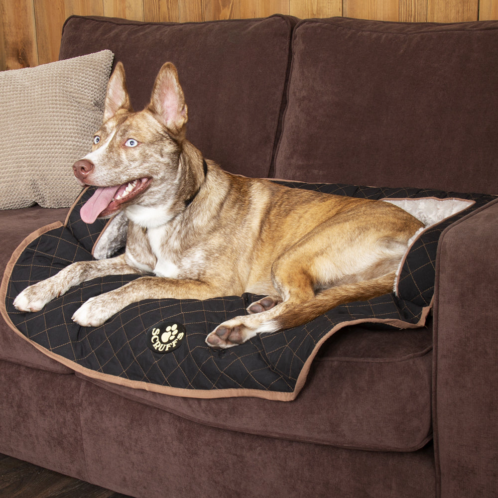 Letto da Divano per Cani Wilton-0