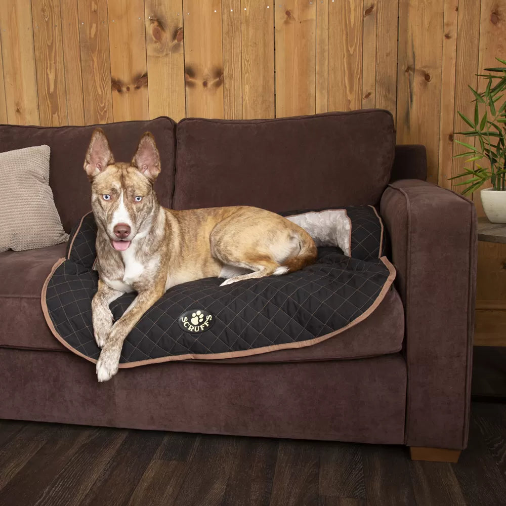 Letto da Divano per Cani Wilton-11