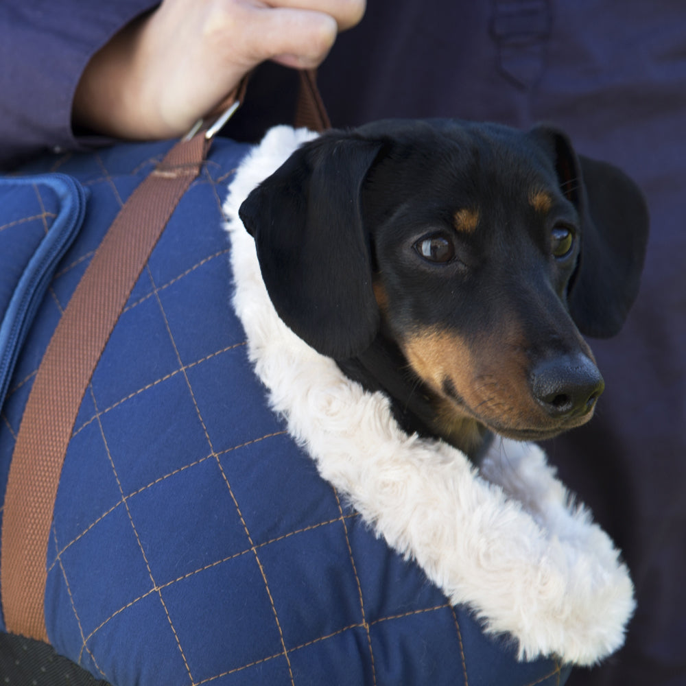 Wilton Dog Carrier (in Blue, Grey, Black, Brown) by Scruffs-13