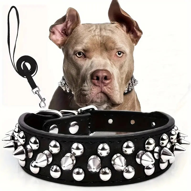 Studded Leather Collar and Leash Set – Adjustable and Stylish for Dogs of All Sizes
