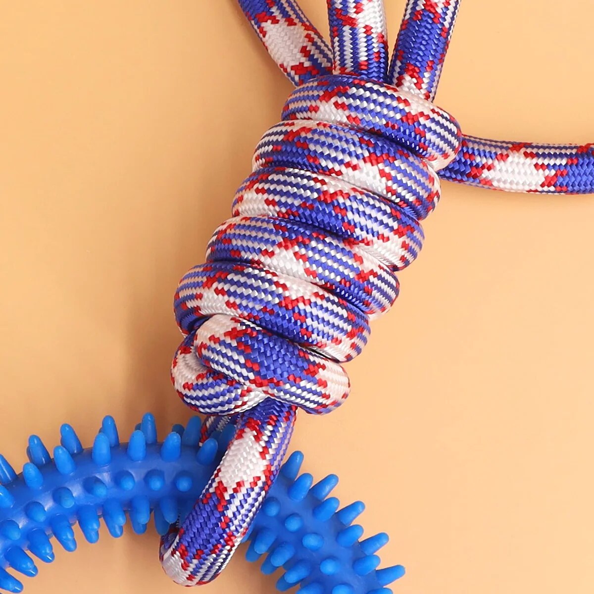 Interactive Dog Ring Toy – Spiky, Durable & Stimulating for Training & Chewing