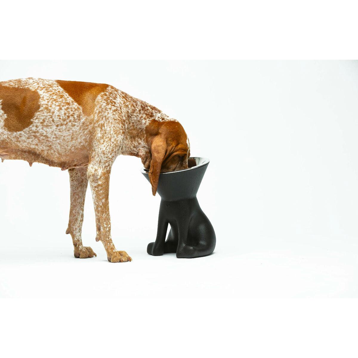 Ciotola United Pets Elisabeth Nera 1 L – Acciaio e Polietilene-1