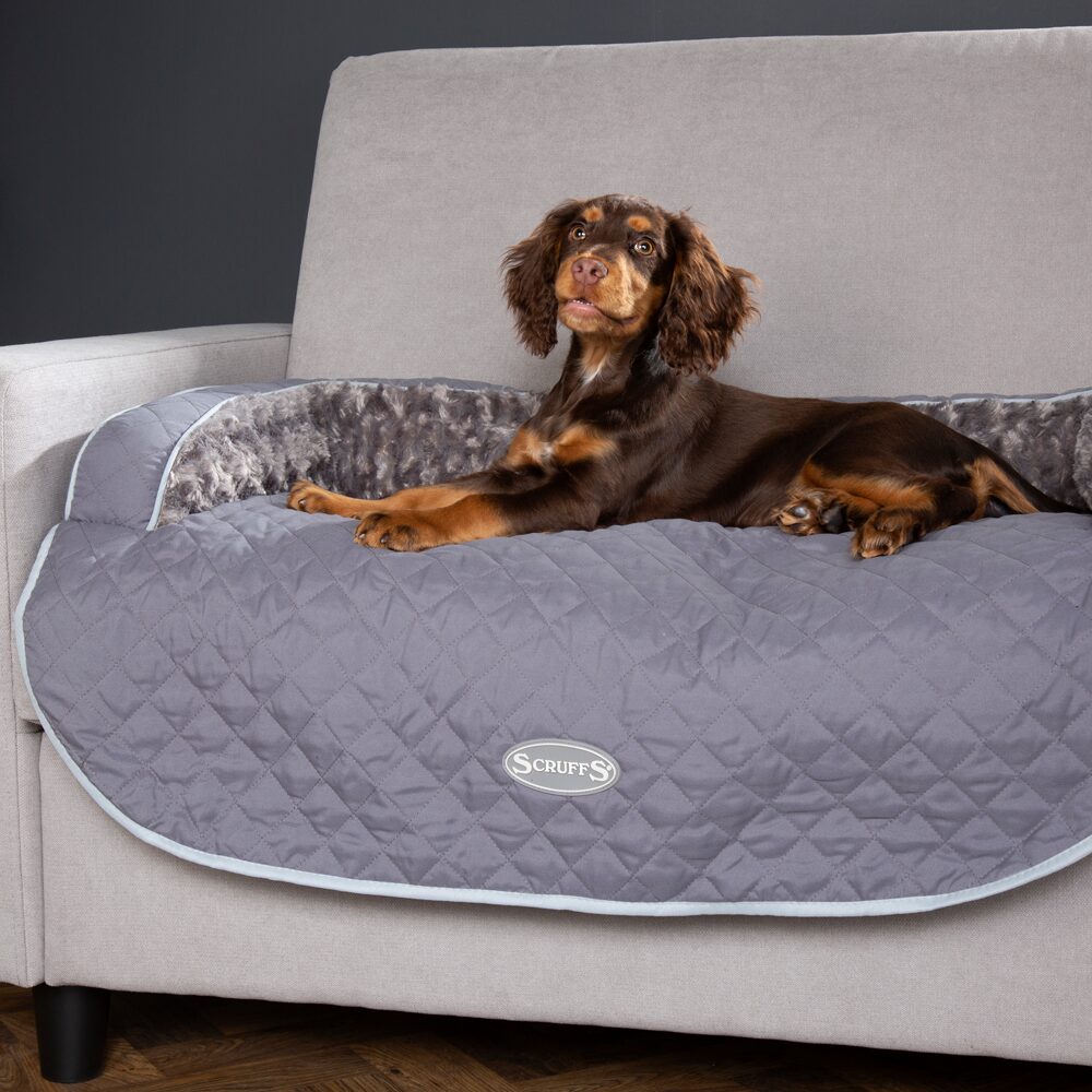 Letto da Divano per Cani Wilton-6
