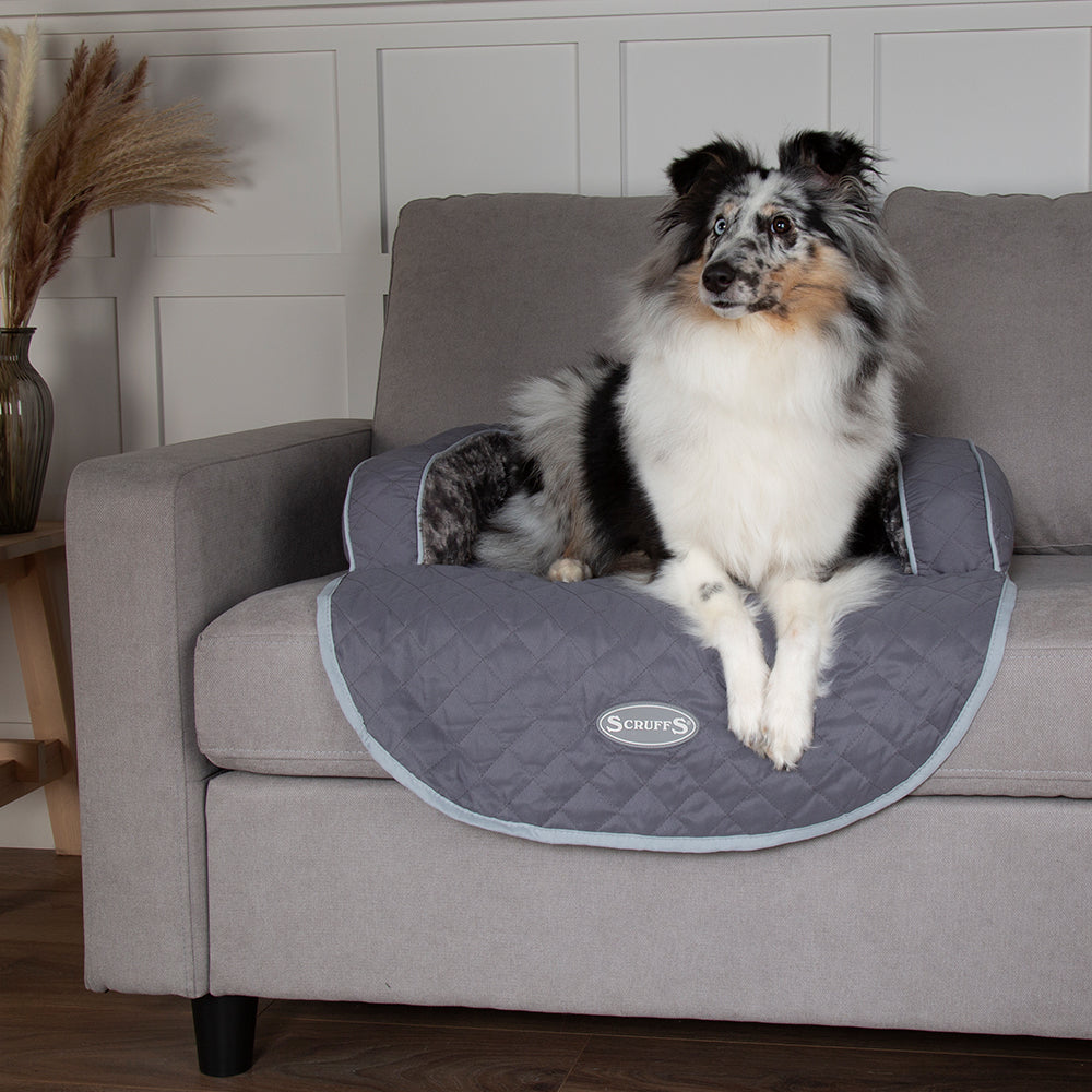 Letto da Divano per Cani Wilton-10