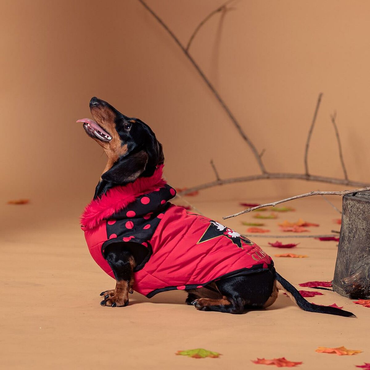 Dog Coat Minnie Mouse-7