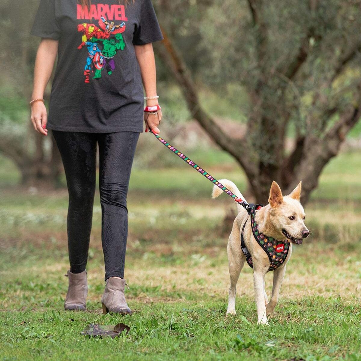 Dog Lead Marvel Red-3