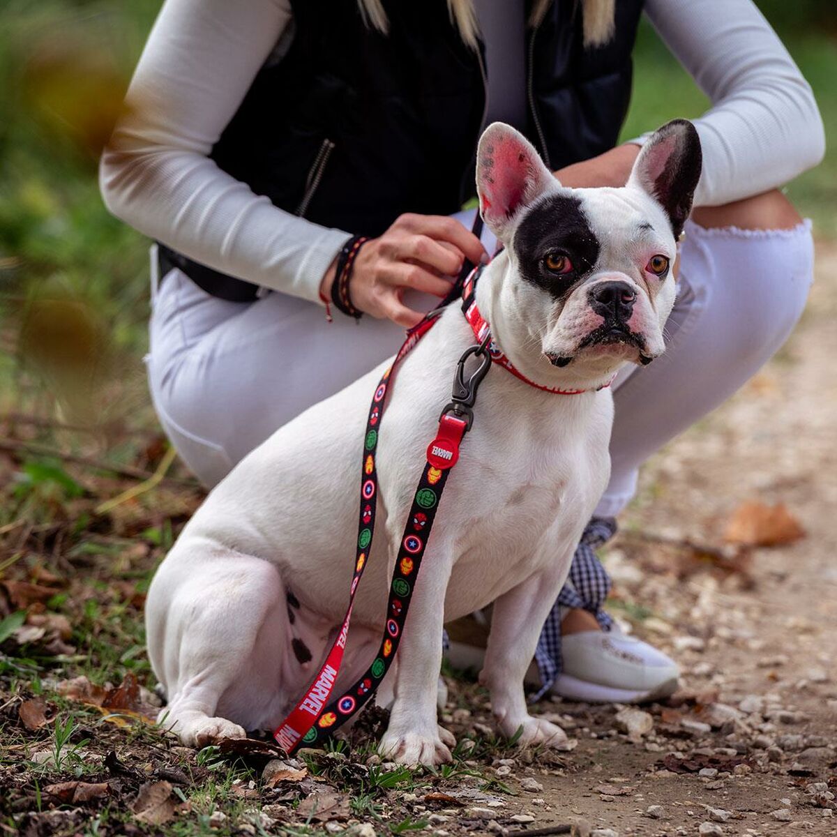 Dog Lead Marvel Red-14