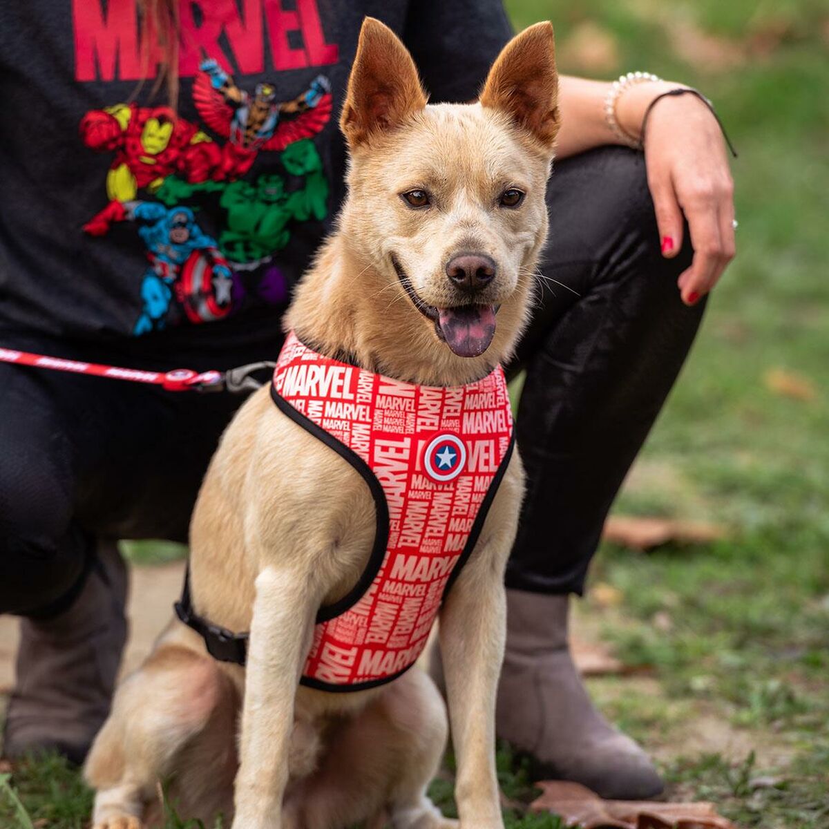 Dog Harness Marvel Reversible S/M Red-2