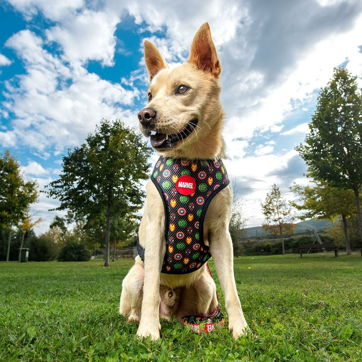 Dog Harness Marvel Reversible S/M Red-3