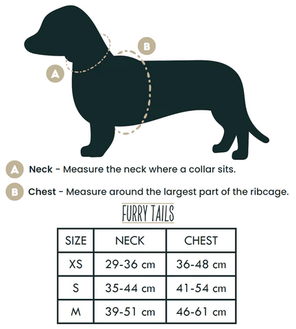 Dog Harness (Full Set) (Peaches) – Dog Harness, Dog Collar, Dog Lead, Dog Poo Holder, Dog Bow Tie – by Furry Tails-4