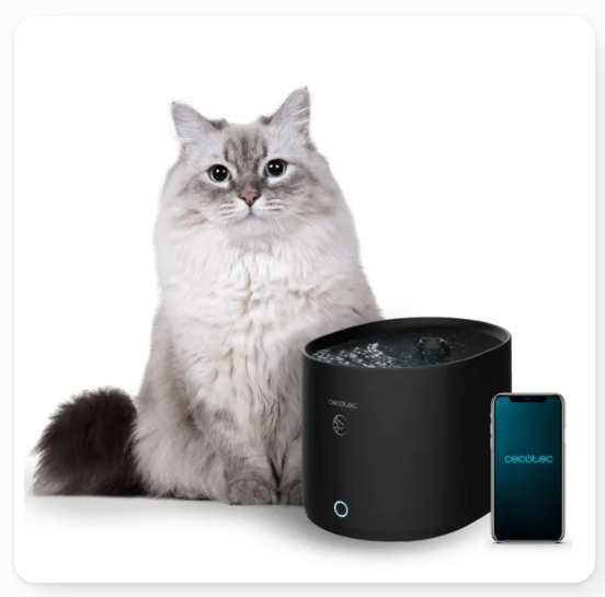 Fontana per Animali Cecotec – Per Gatti, con Connessione Wi-Fi, Colore Nero