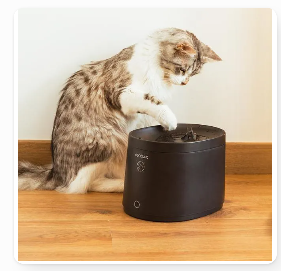 Fontana per Animali Cecotec – Per Gatti, con Connessione Wi-Fi, Colore Nero