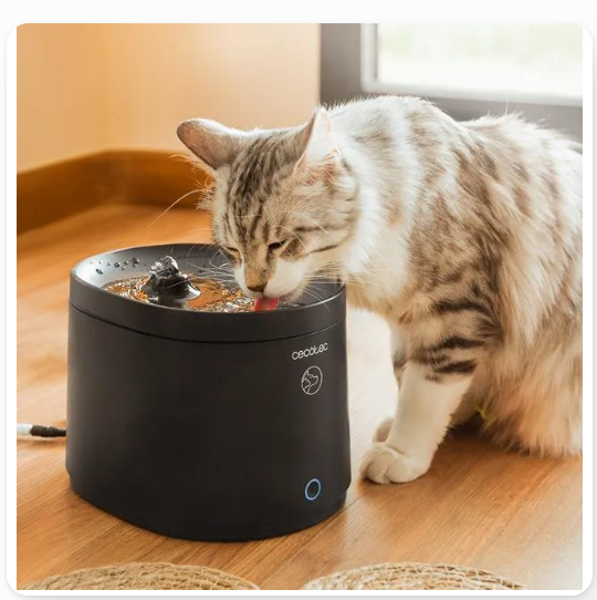 Fontana per Animali Cecotec – Per Gatti, con Connessione Wi-Fi, Colore Nero