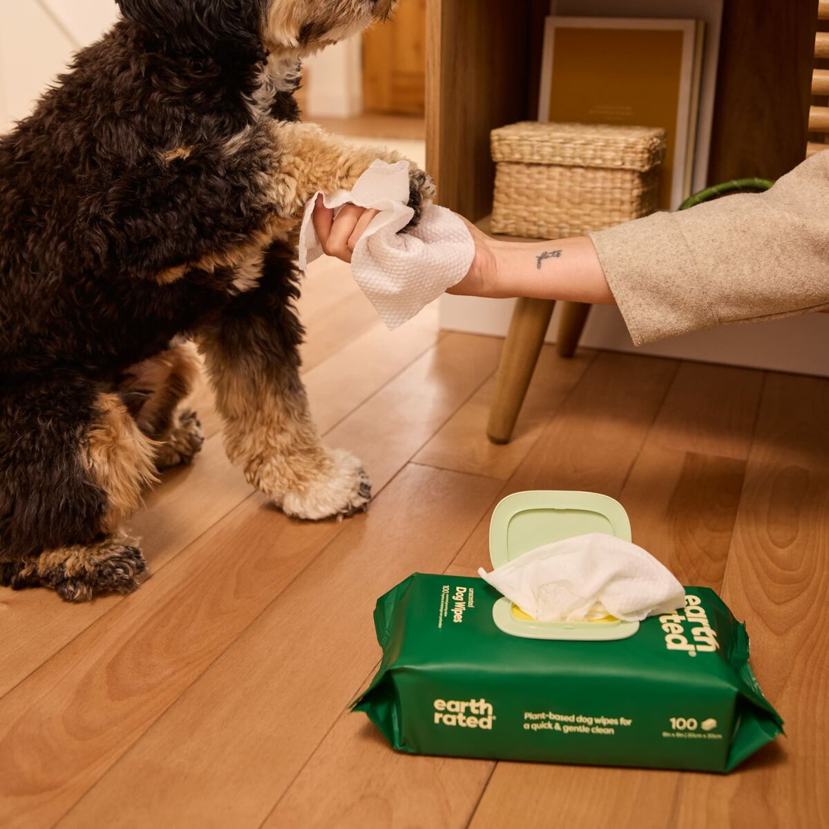 Salviette igieniche senza profumo per animali domestici, confezione da 100 pezzi