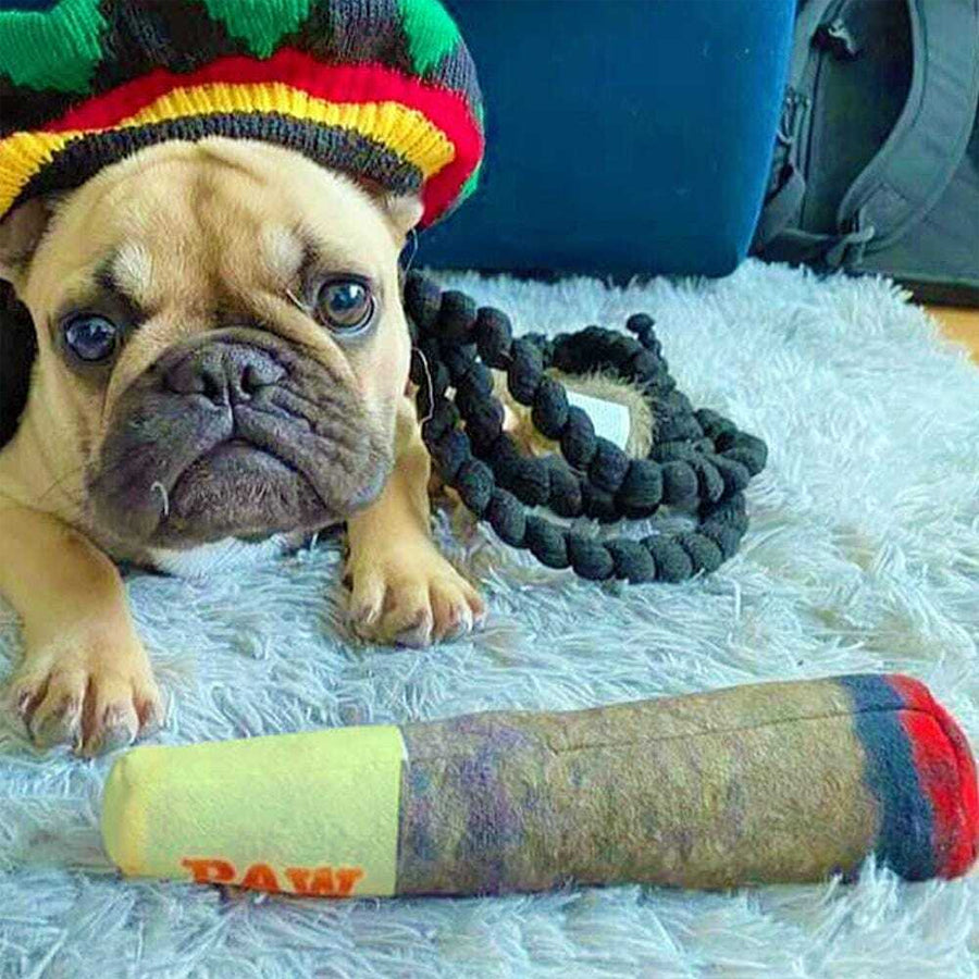 Interactive Cigar Dog Toy - Squeaky and Teething Plush for Small and Medium Breeds