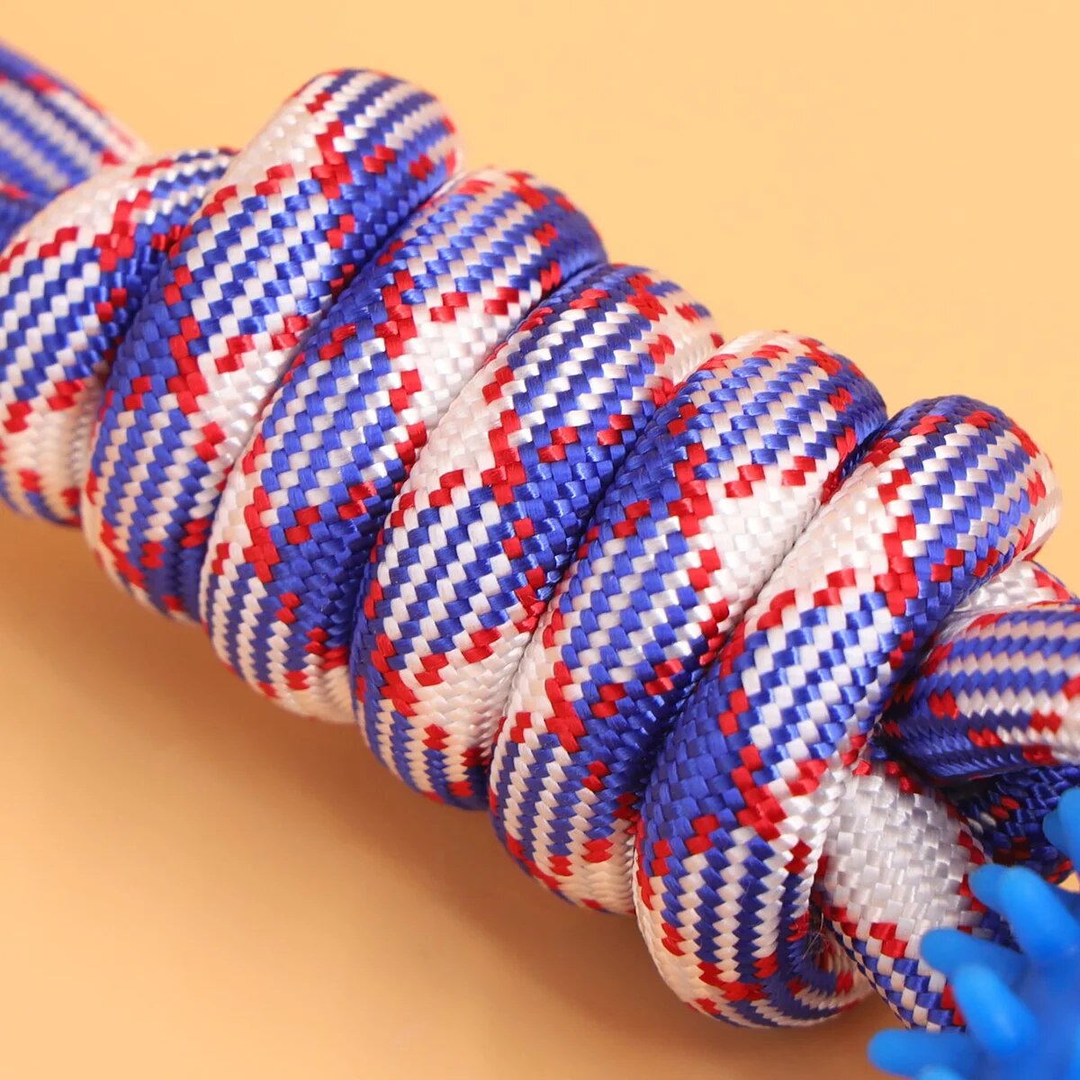 Interactive Dog Ring Toy – Spiky, Durable & Stimulating for Training & Chewing