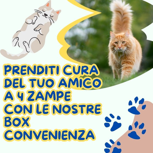 Box alimentare per gatti con 9 lattine Natua, crocchette sterilizzati e snack cremoso Dr. Zoo Licks