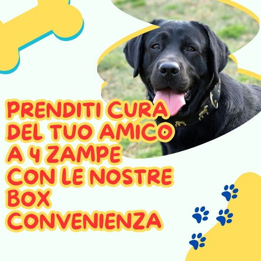 Prenditi cura del tuo amico a 4 zampe con le nostre box convenienza (4).jpg